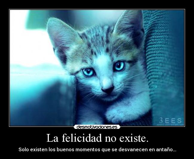 La felicidad no existe. - 