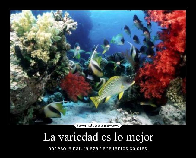 carteles desmotivaciones colores mar submarino naturaleza desmotivaciones