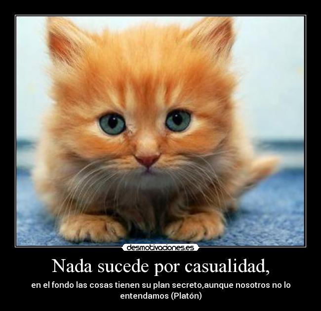 Nada sucede por casualidad, - 