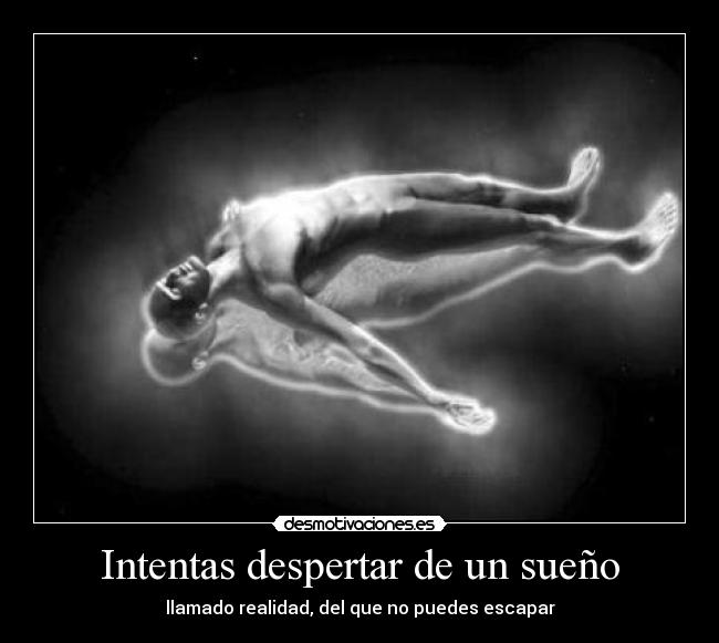 carteles laplegua desmotivaciones