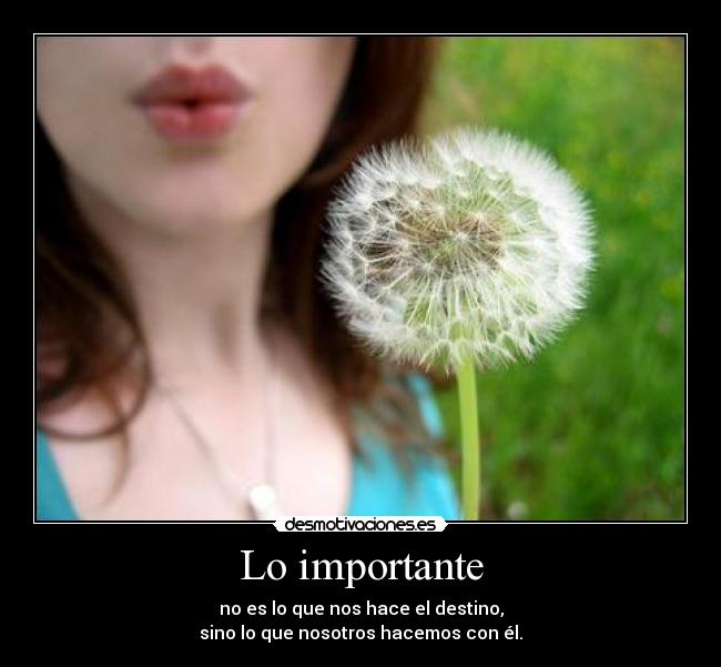 Lo importante -