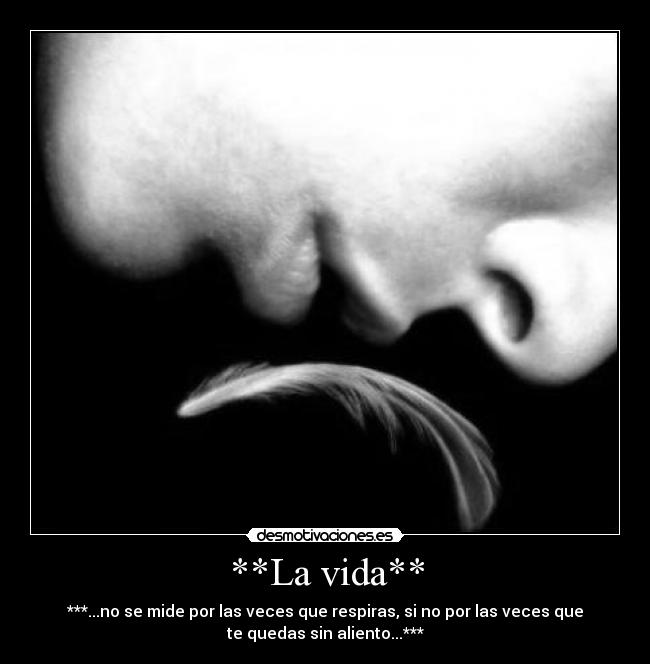 **La vida** - ***...no se mide por las veces que respiras, si no por las veces que
te quedas sin aliento...***