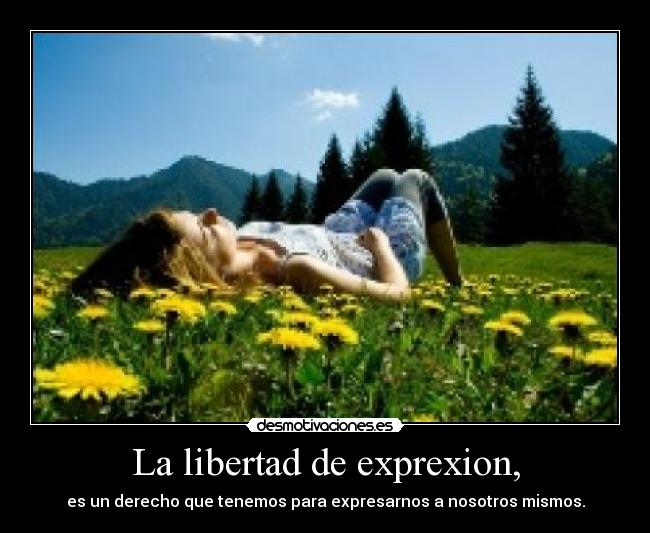 La libertad de exprexion, - es un derecho que tenemos para expresarnos a nosotros mismos.