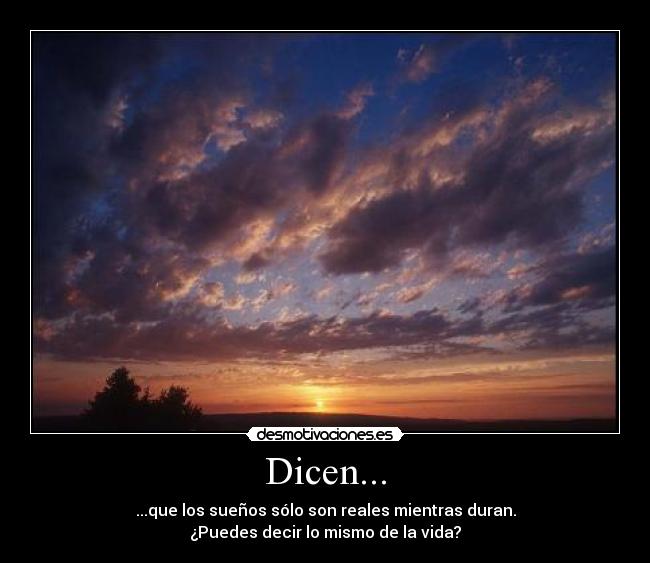 Dicen... - 