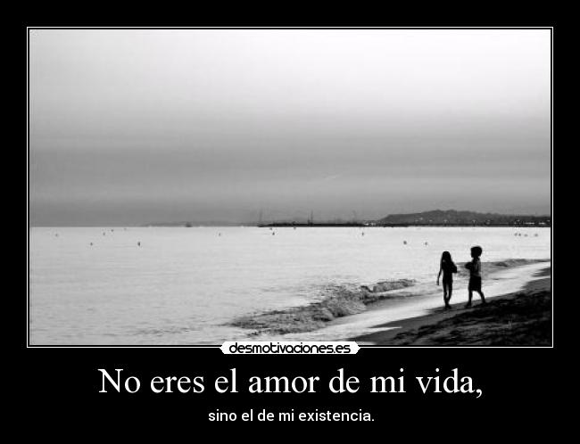 No eres el amor de mi vida, - sino el de mi existencia.