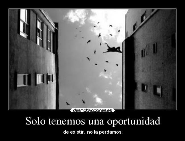 Solo tenemos una oportunidad - de existir,  no la perdamos.