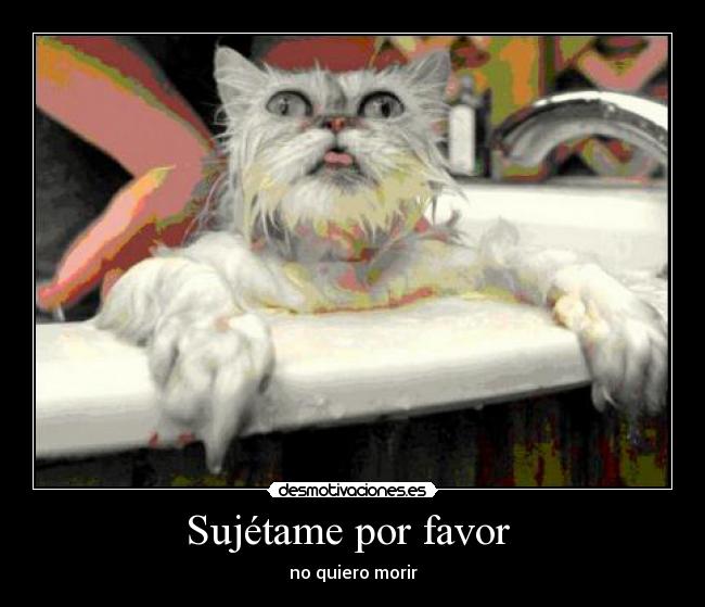 Sujétame por favor  - no quiero morir