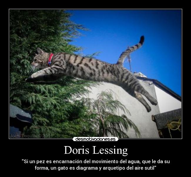 Doris Lessing -