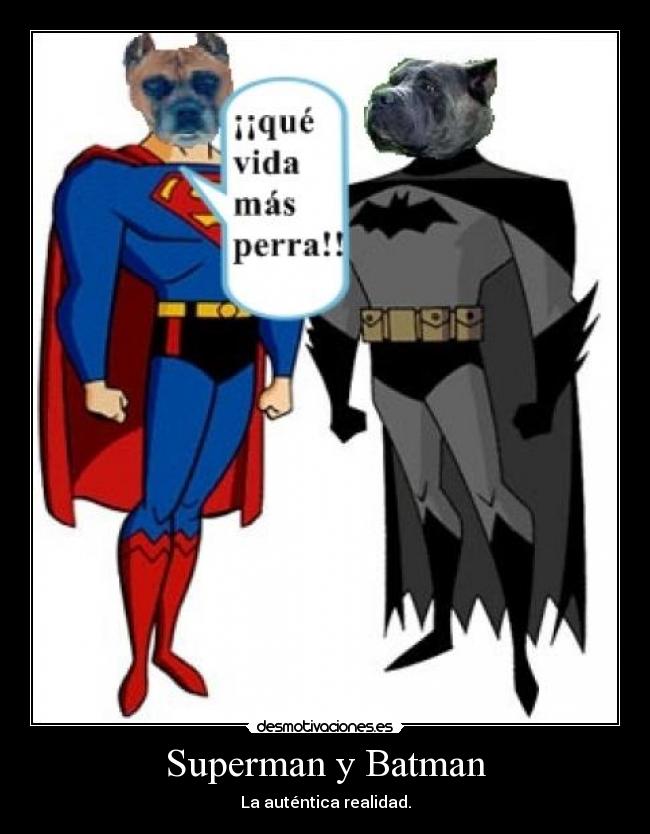 Superman y Batman - La auténtica realidad.