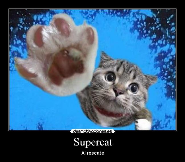 Supercat - 