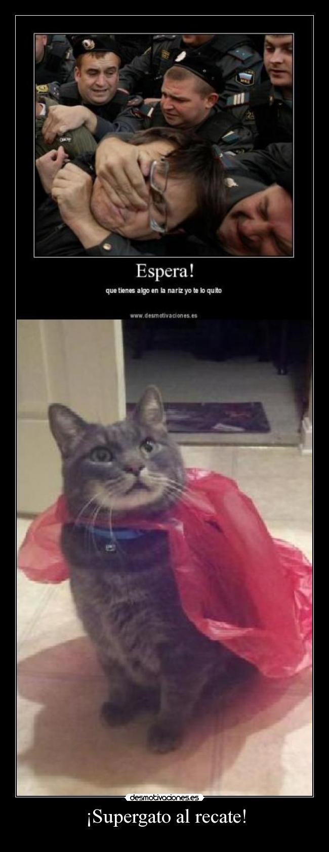 ¡Supergato al recate! - 