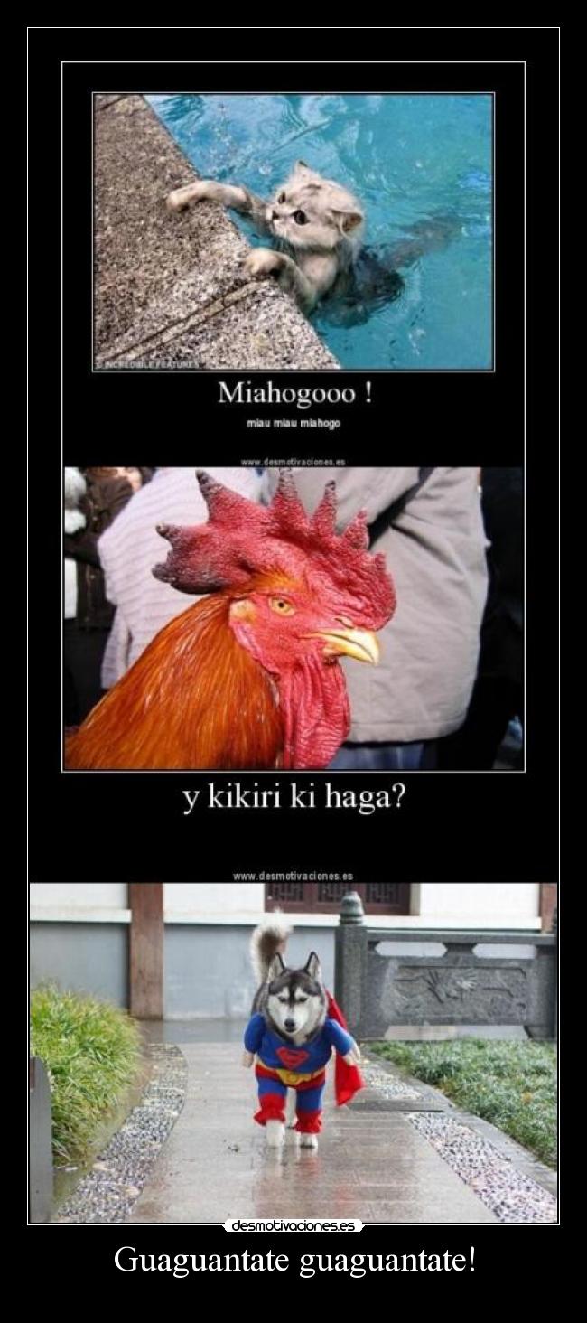 Guaguantate guaguantate! - 