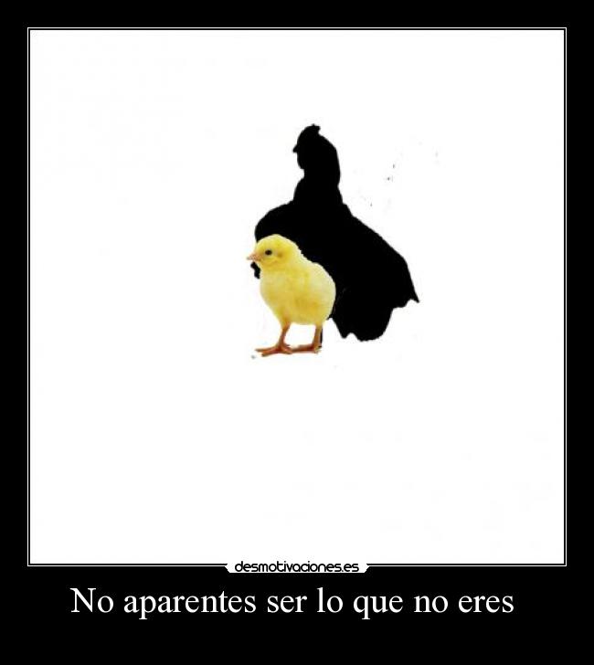 carteles pollito desmotivaciones