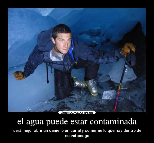 el agua puede estar contaminada - será mejor abrir un camello en canal y comerme lo que hay dentro de su estomago