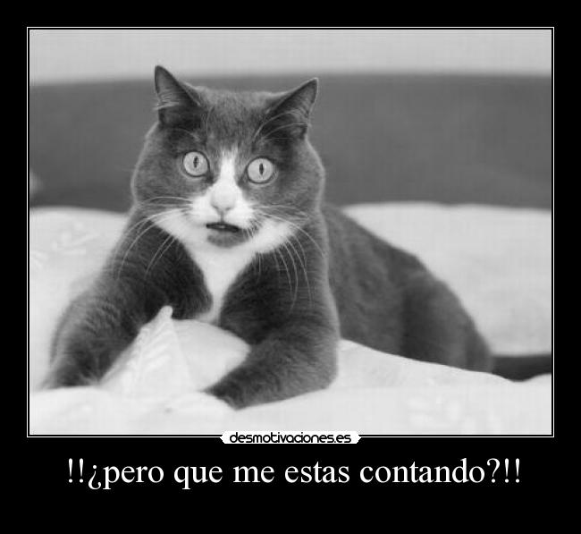 !!¿pero que me estas contando?!! -