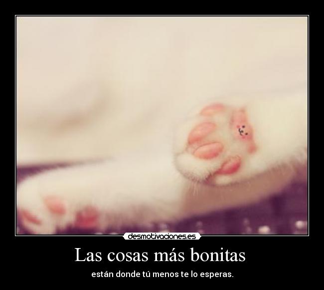 Las cosas más bonitas - están donde tú menos te lo esperas.