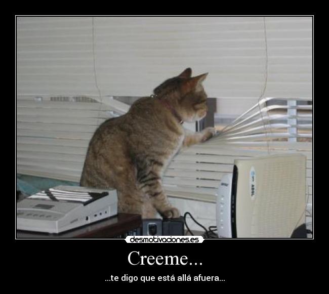 Creeme... - ...te digo que está allá afuera...