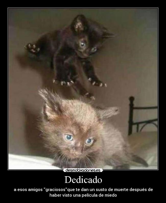 Dedicado - a esos amigos graciososque te dan un susto de muerte después de
haber visto una película de miedo