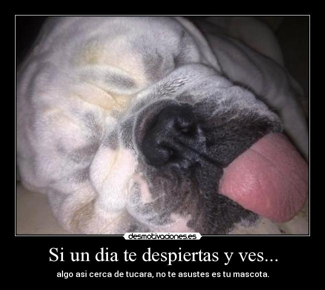 Si un dia te despiertas y ves... -