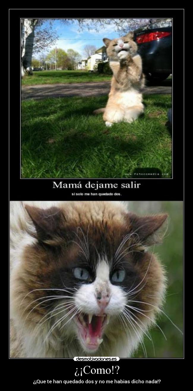 carteles madre furiosa con las notas sus hijos desmotivaciones