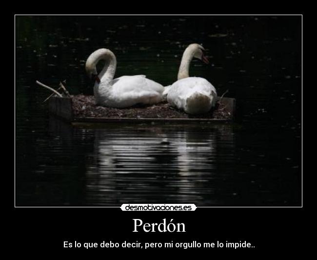 Perdón - 