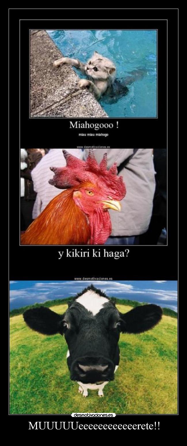 MUUUUUeeeeeeeeeeeerete!! - 