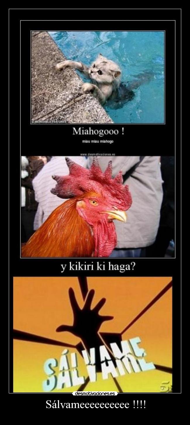 Sálvameeeeeeeeee !!!! -