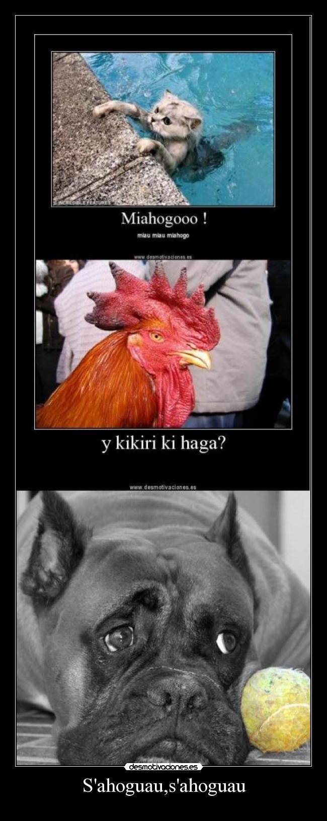 carteles tupadre desmotivaciones