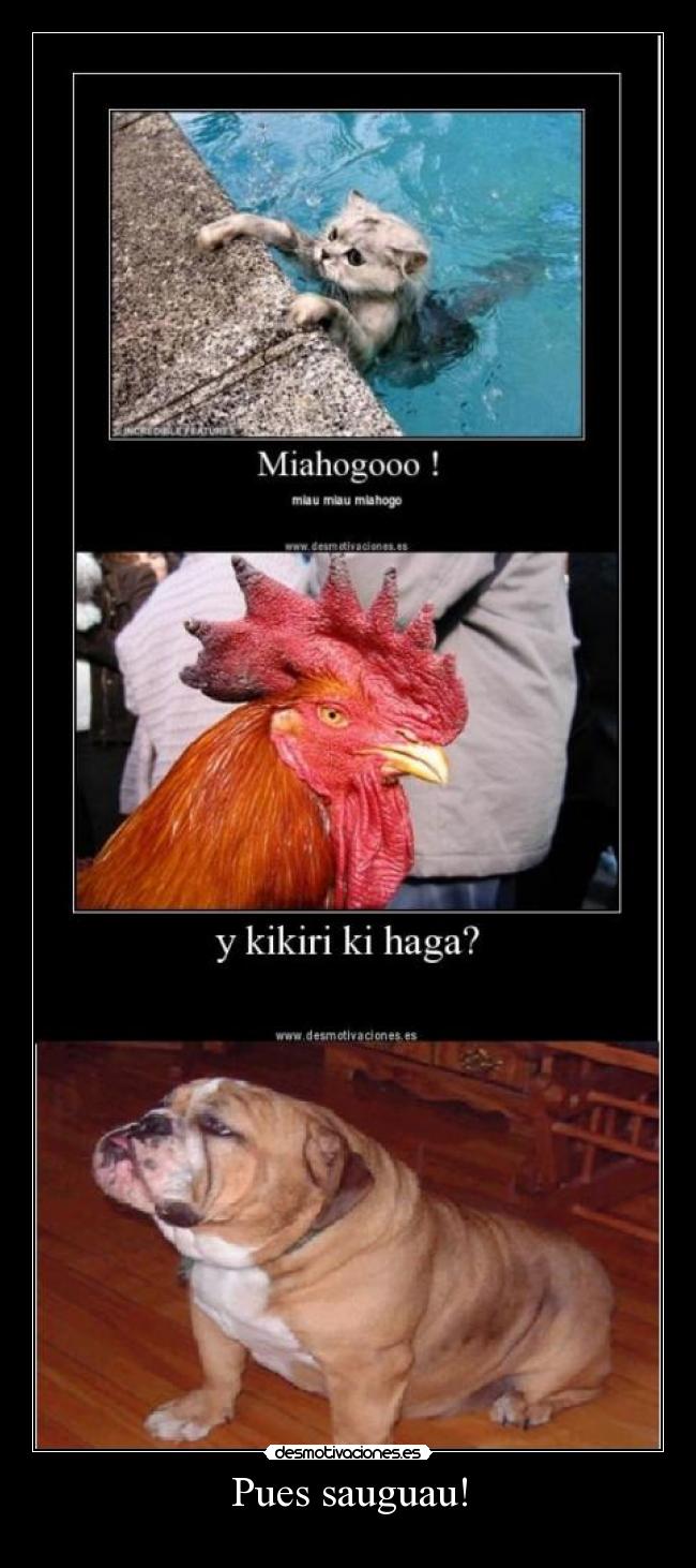 Pues sauguau! - 