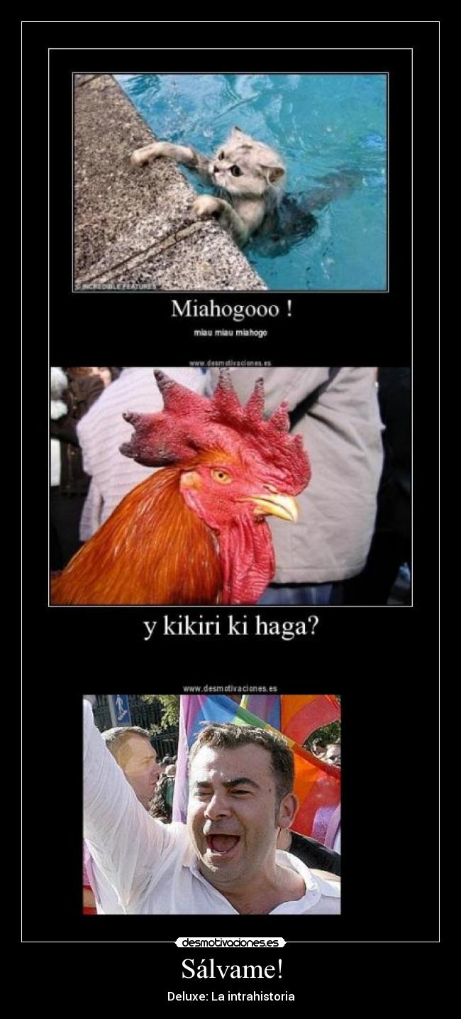 Sálvame! -