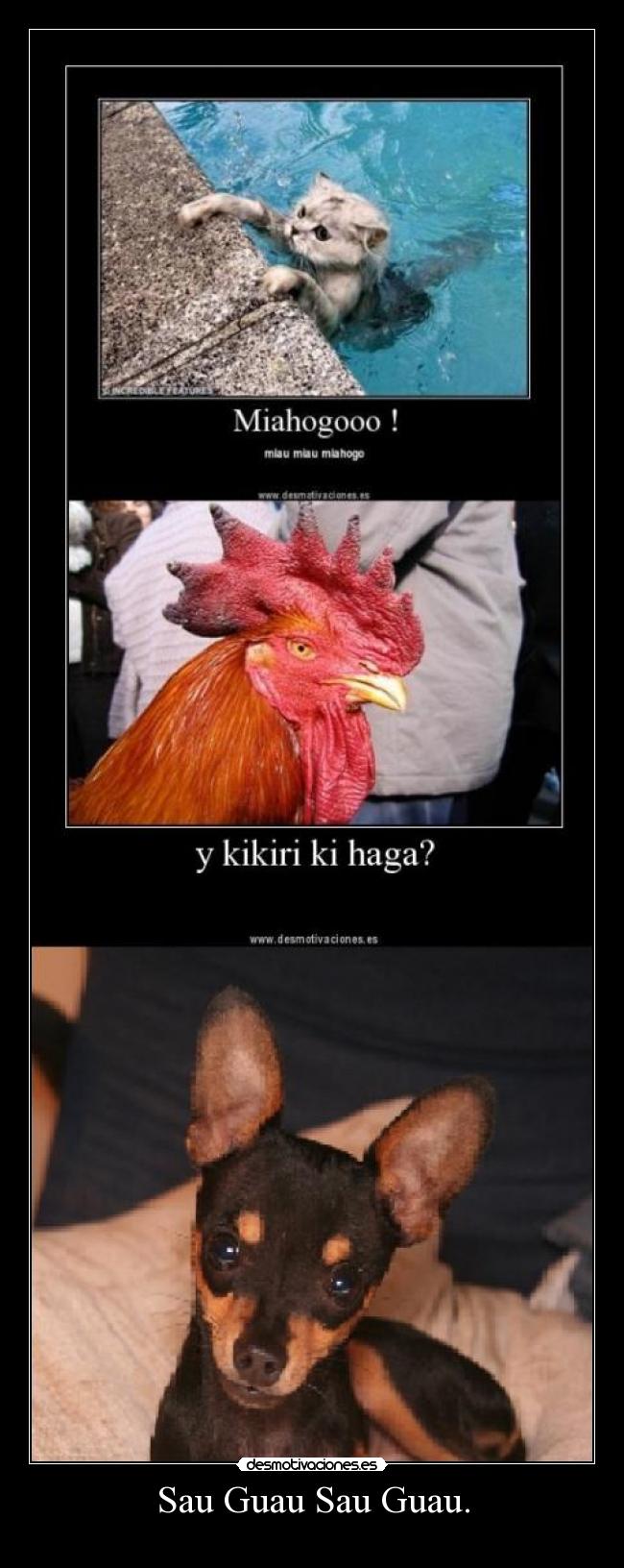 Sau Guau Sau Guau. -