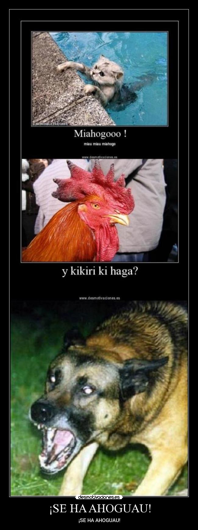 ¡SE HA AHOGUAU! - ¡SE HA AHOGUAU!