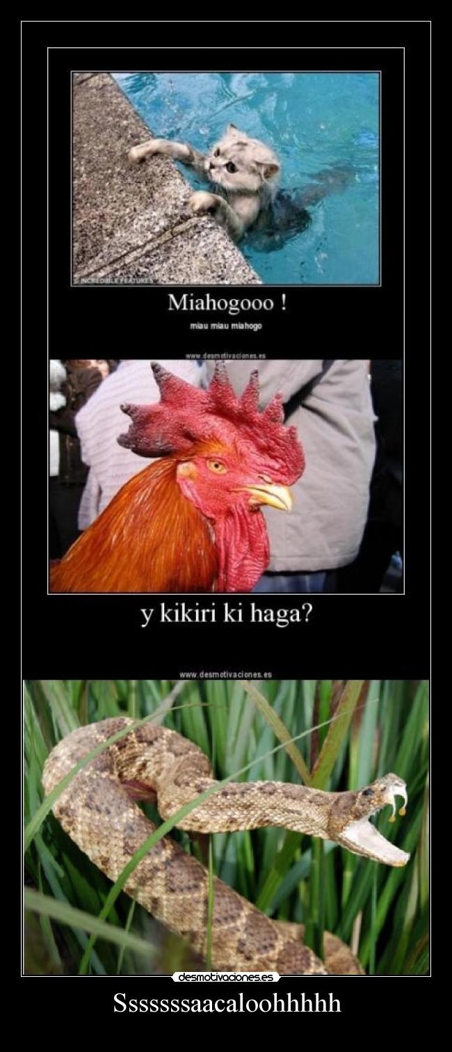 Sssssssaacaloohhhhh - 