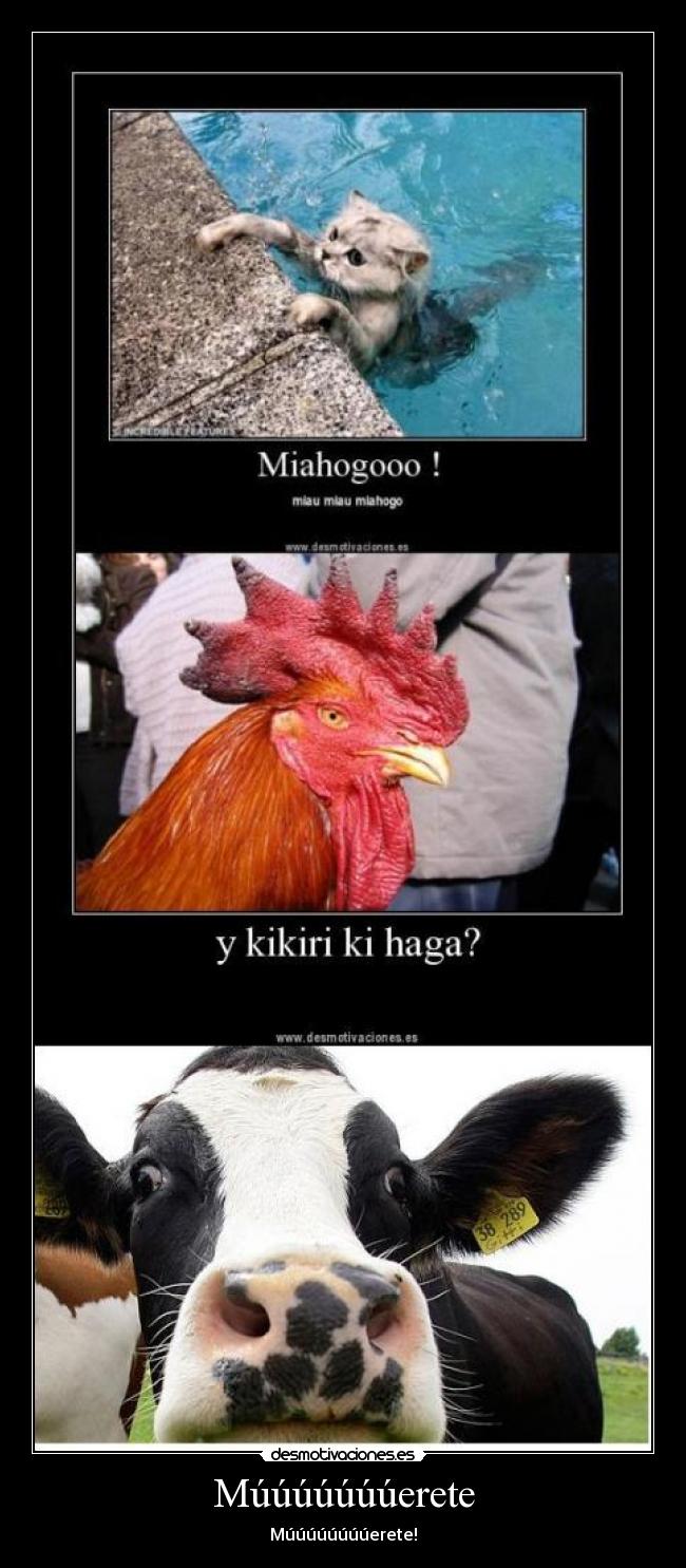 Múúúúúúúerete - 