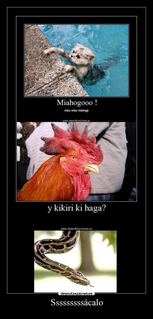 Sssssssssácalo -