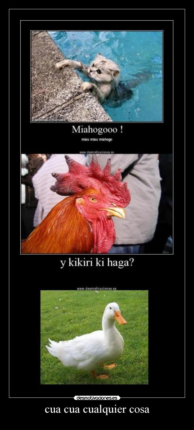 cua cua cualquier cosa - 