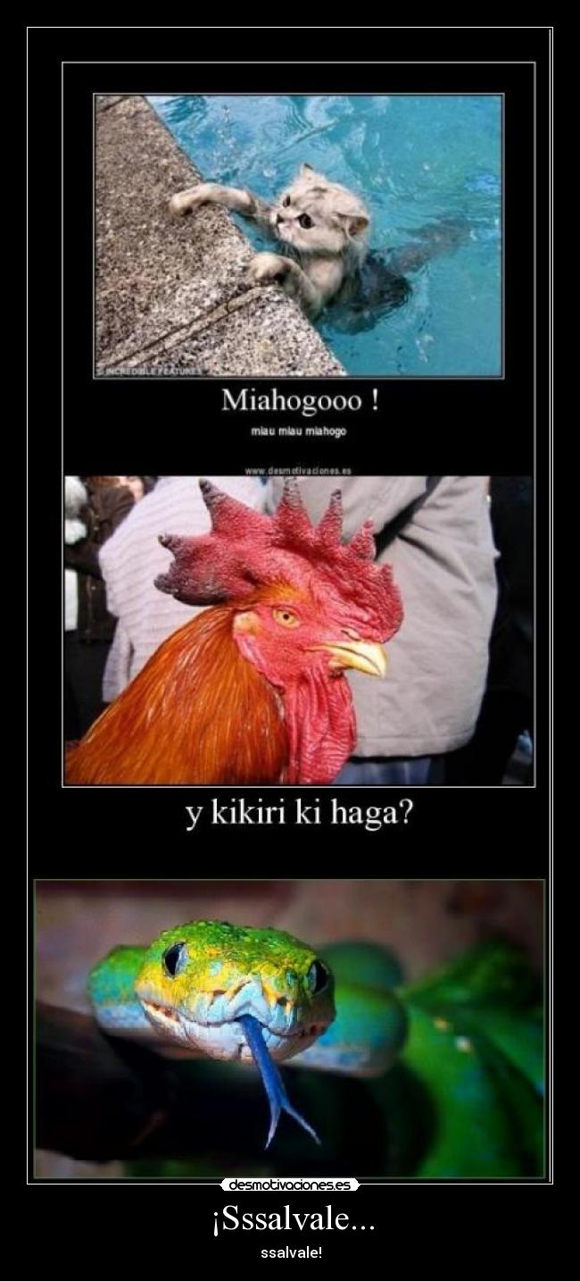 ¡Sssalvale... - 