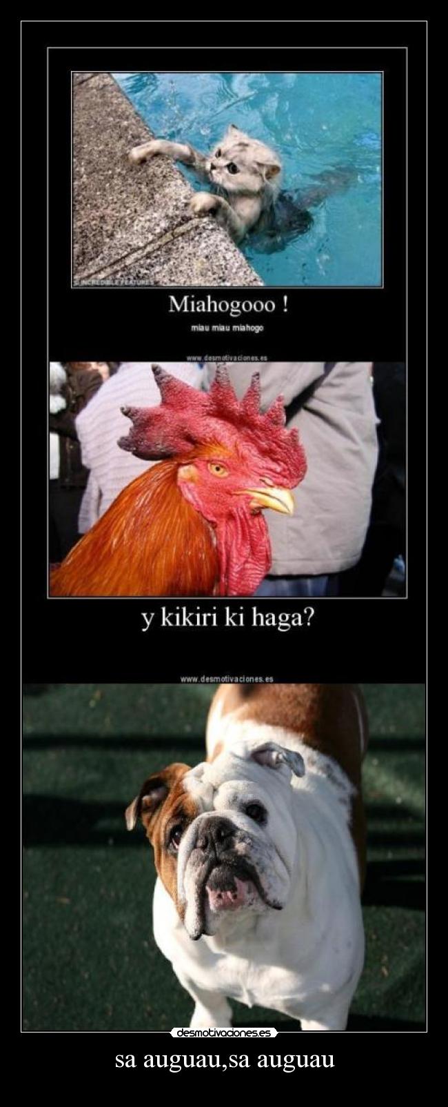 sa auguau,sa auguau -