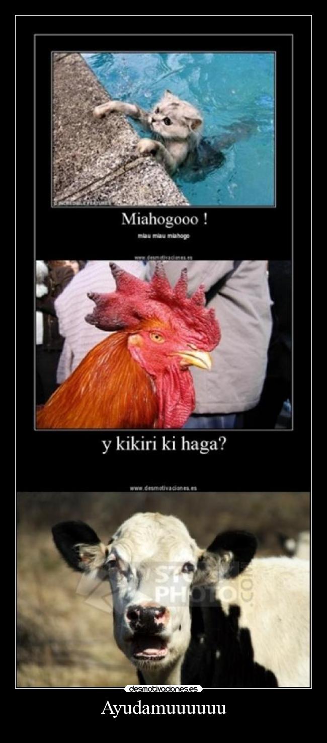 Ayudamuuuuuu -