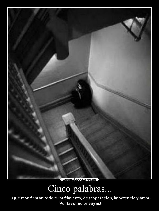 Cinco palabras... -