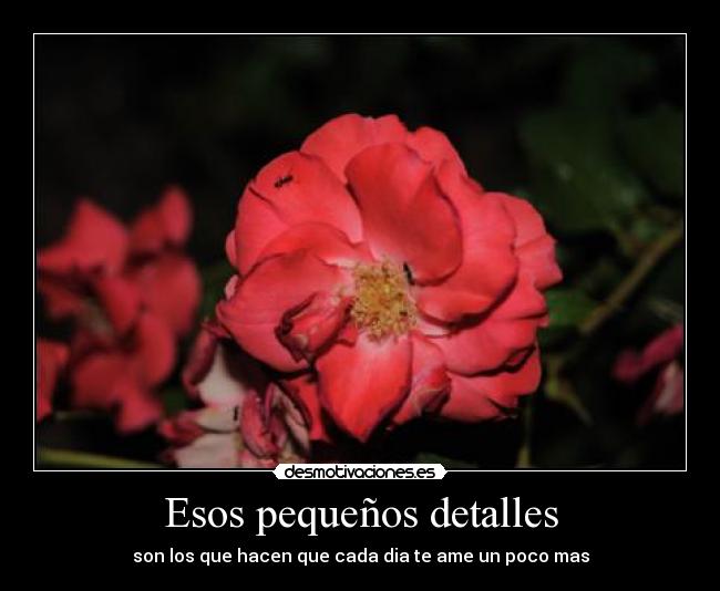 Esos pequeños detalles - 
