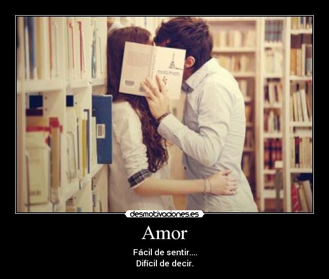 Amor - 