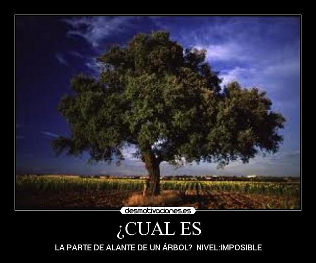 ¿CUAL ES - LA PARTE DE ALANTE DE UN ÁRBOL?  NIVEL:IMPOSIBLE