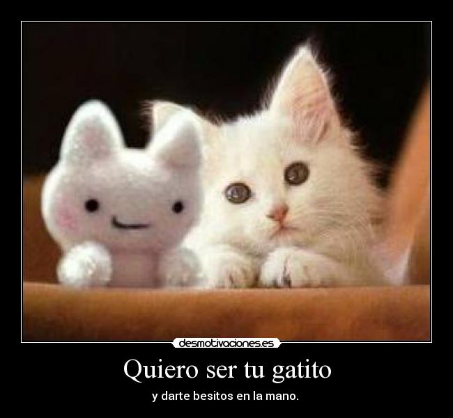 Quiero ser tu gatito -