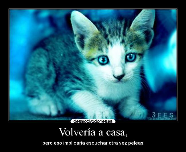 Volvería a casa, - pero eso implicaría escuchar otra vez peleas.