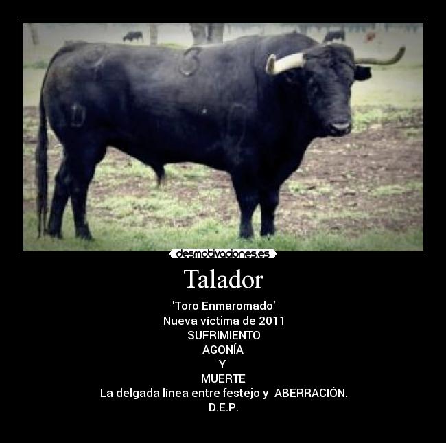 Talador - 