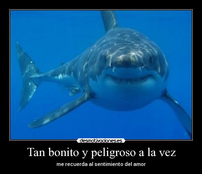 Tan bonito y peligroso a la vez - me recuerda al sentimiento del amor