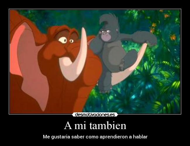 carteles tantor desmotivaciones