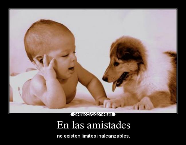 En las amistades - 