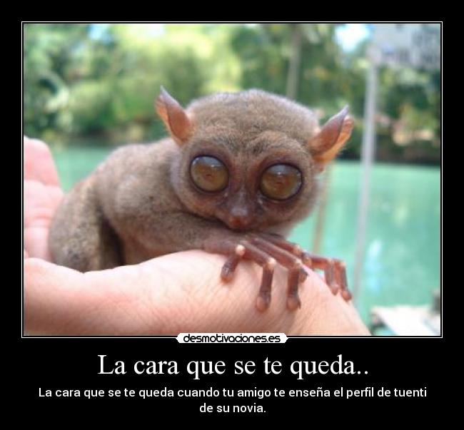 La cara que se te queda.. - La cara que se te queda cuando tu amigo te enseña el perfil de tuenti de su novia.